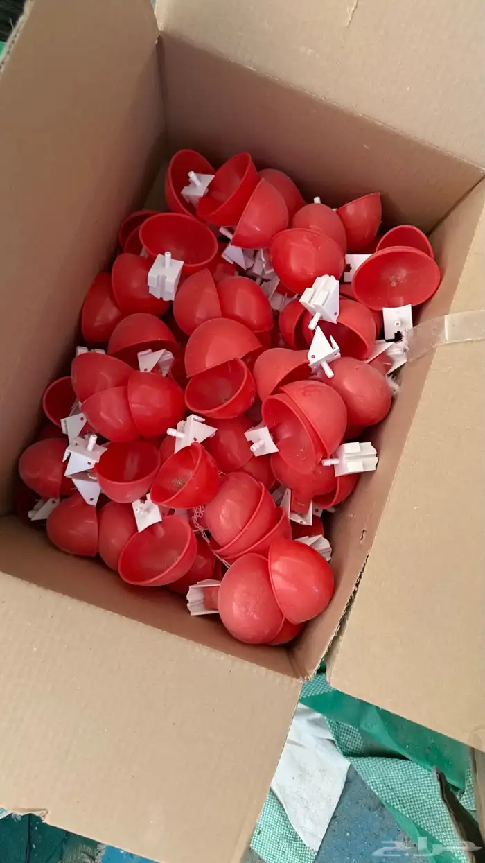 محاكر للبيع 2