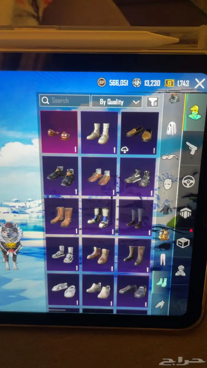 حساب ببجي 16