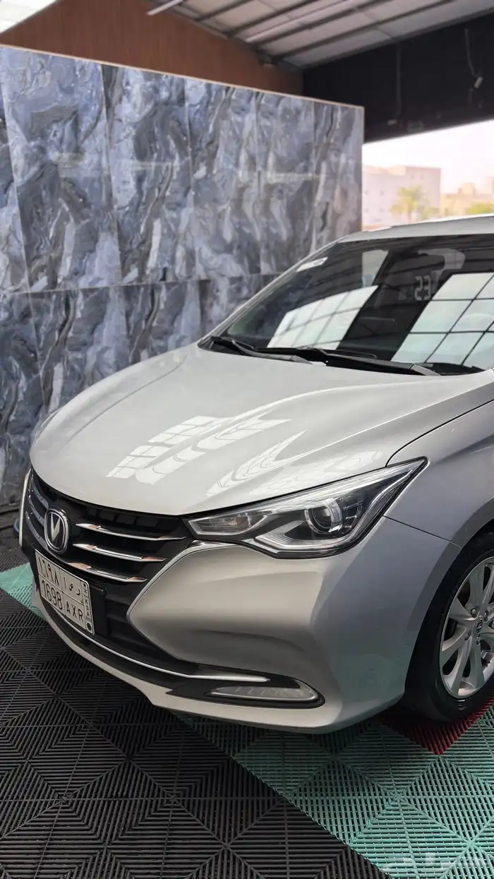 شانجان السفن فل كامل للبيع 3