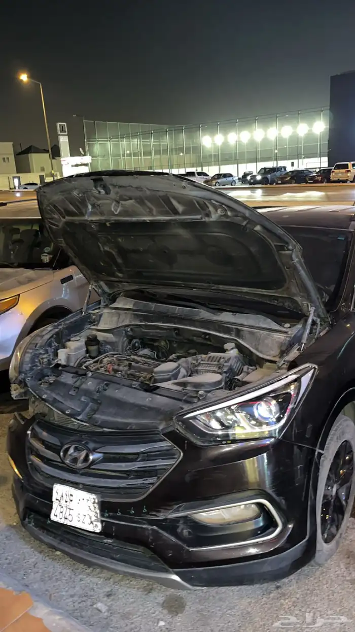 سنتافي لي بيع 1