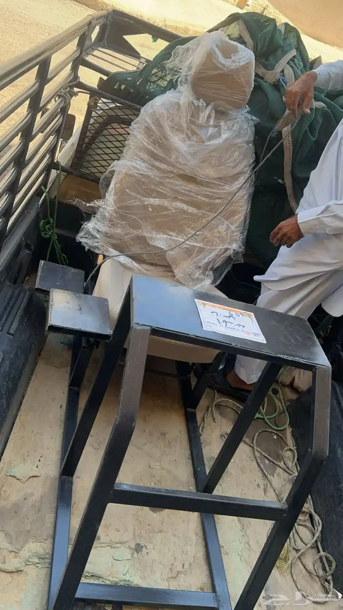 كرسي اكسنت اسيتو كورسا للبيع 0