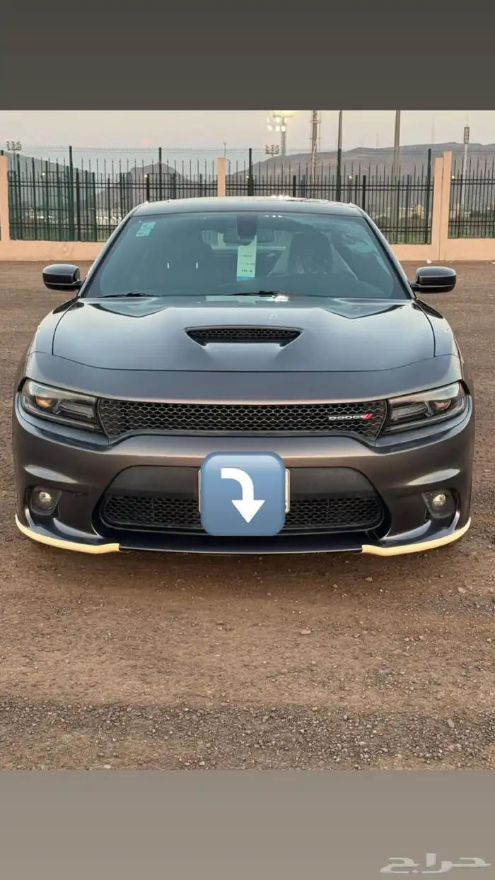 للبيع دوج تشاجر 0