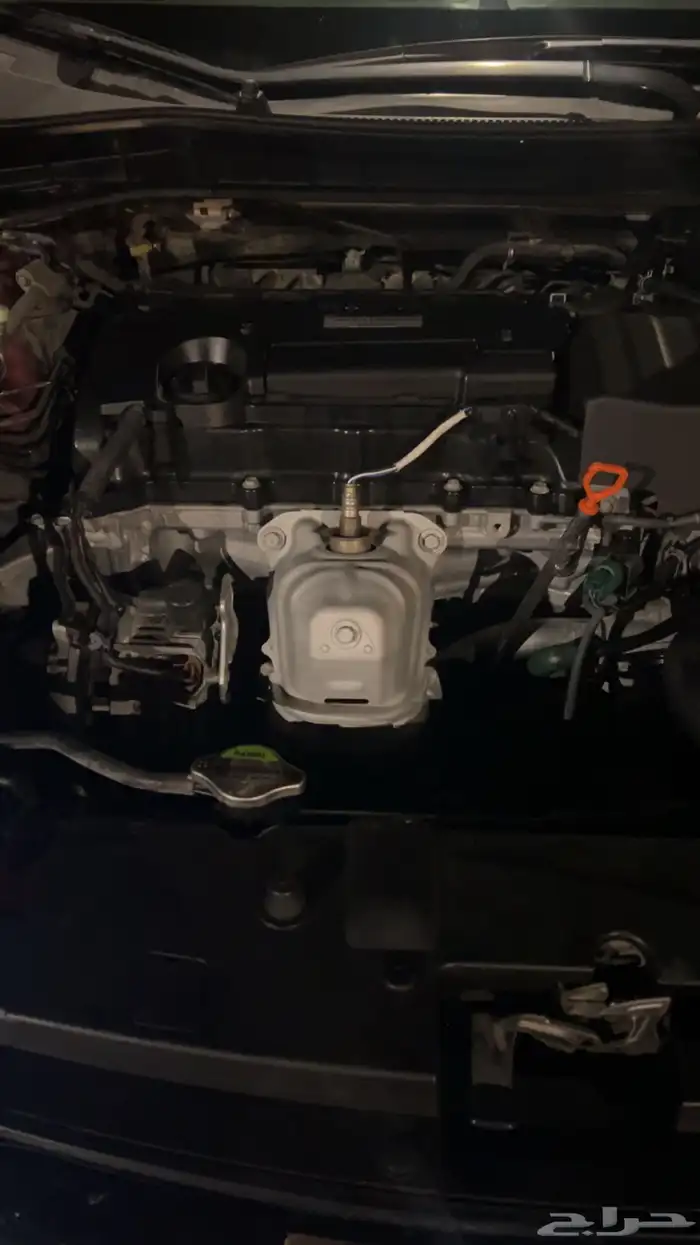 اسبيشل 2017 بودي وكاله 3