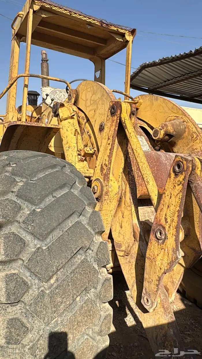 شيول 966 سي 14