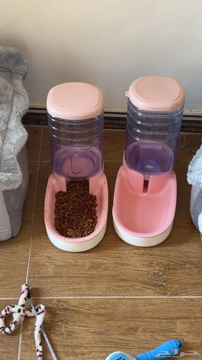 مستلزمات قطط نظيفه استخدام اسبوع 1