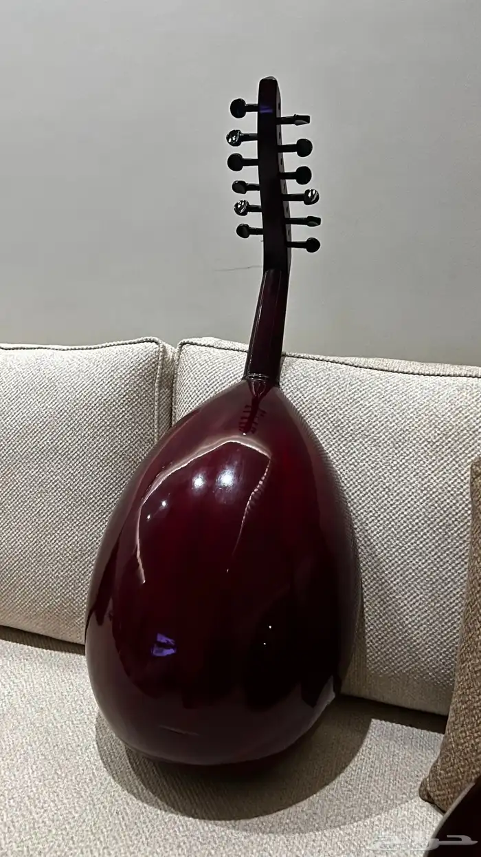 عود مصري 1