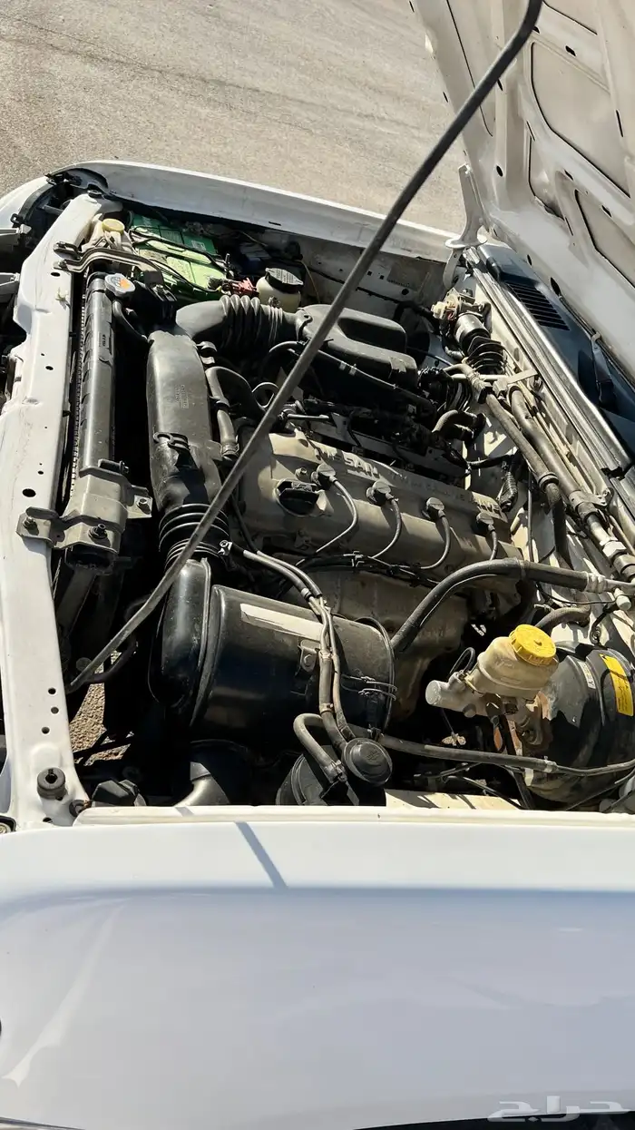 ددسن نضيفه 13