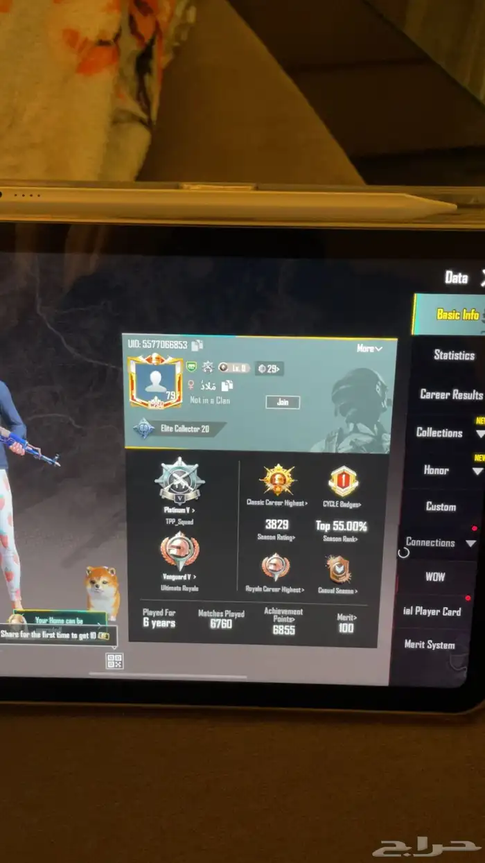 حساب ببجي 10