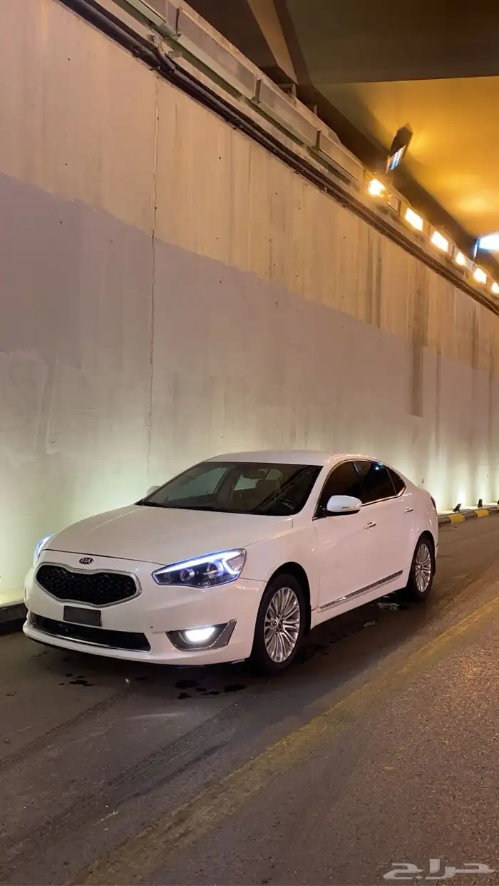 كادينزا 16 تسقيط 0