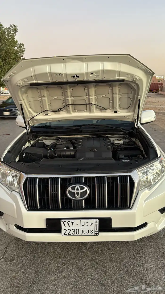 برادو 2020 TXL 13