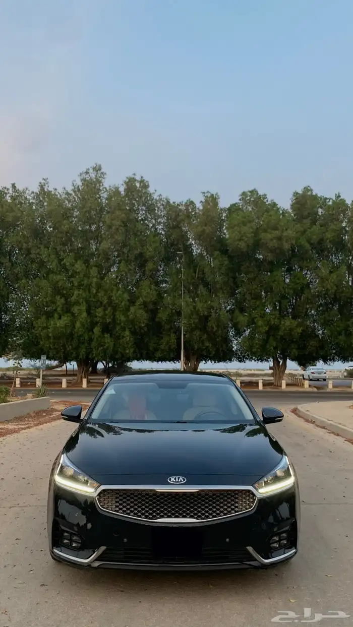 كادينزا 2020 وارد المطوع 0