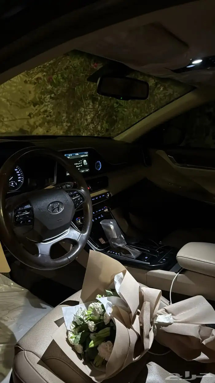 ازيرا سعودي 2019 5