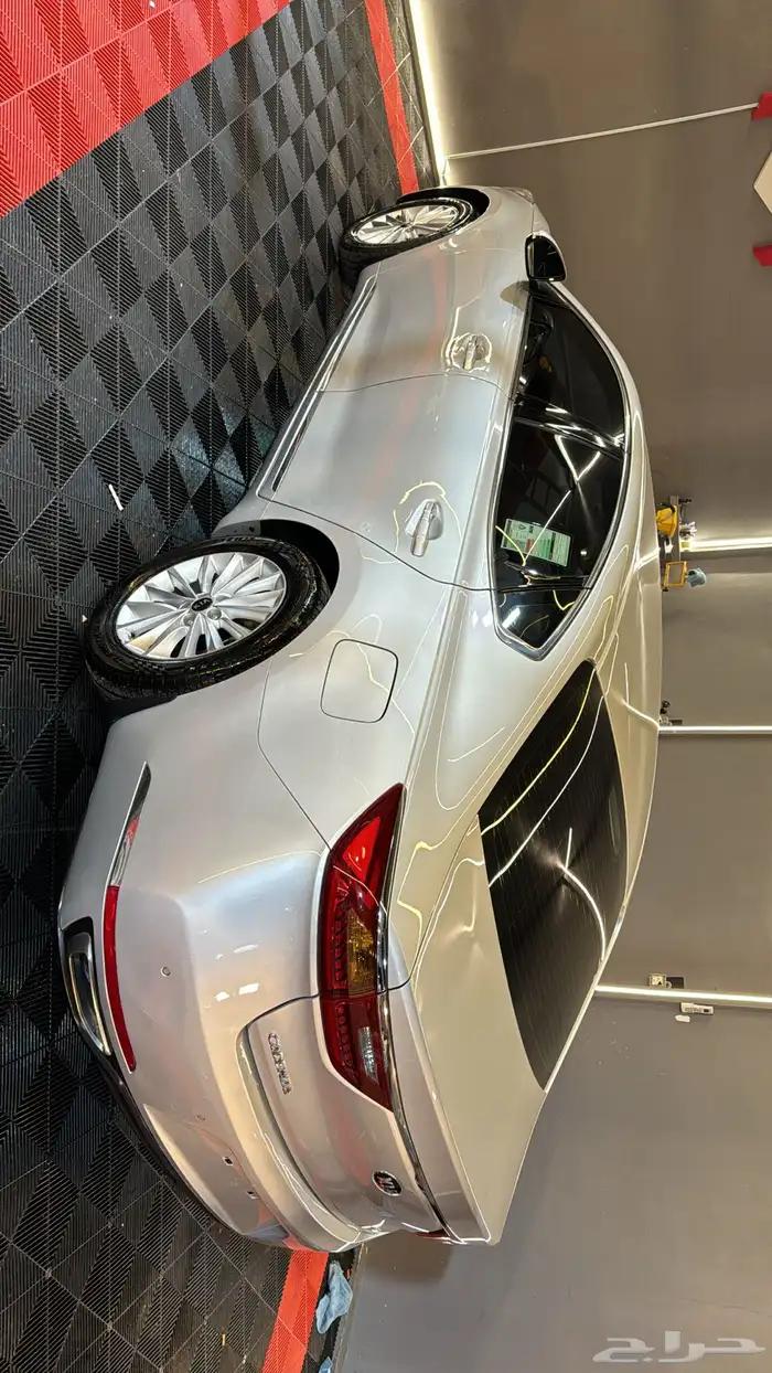 كادينزا فضيه 2018 6