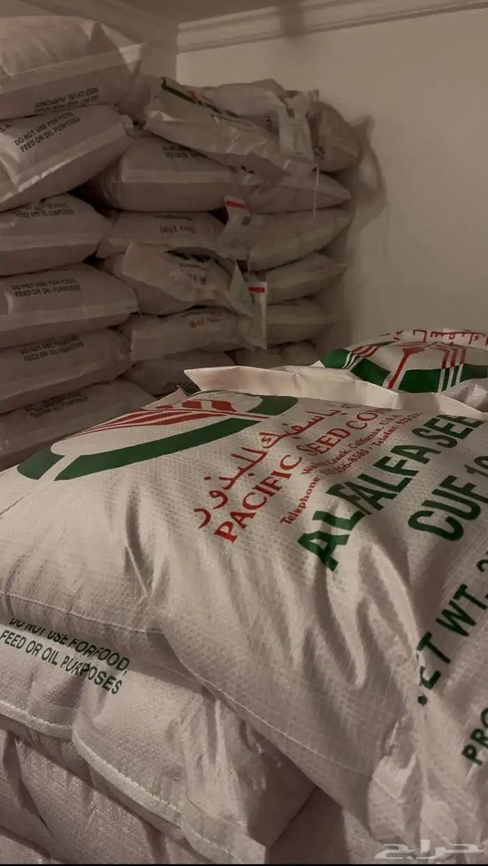 بذور برسيم أمريكي باسفيك الفا كاف 101 0