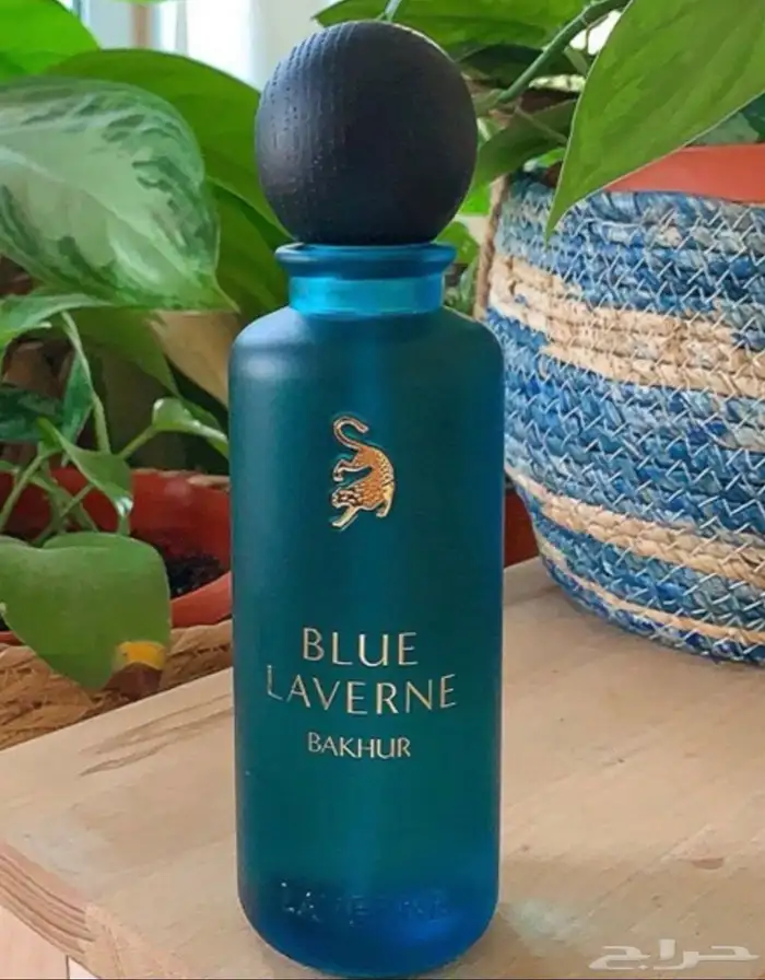 عطور جديده اصليه من المتجر بيع جمله فقط العطور جديده مغلف 12