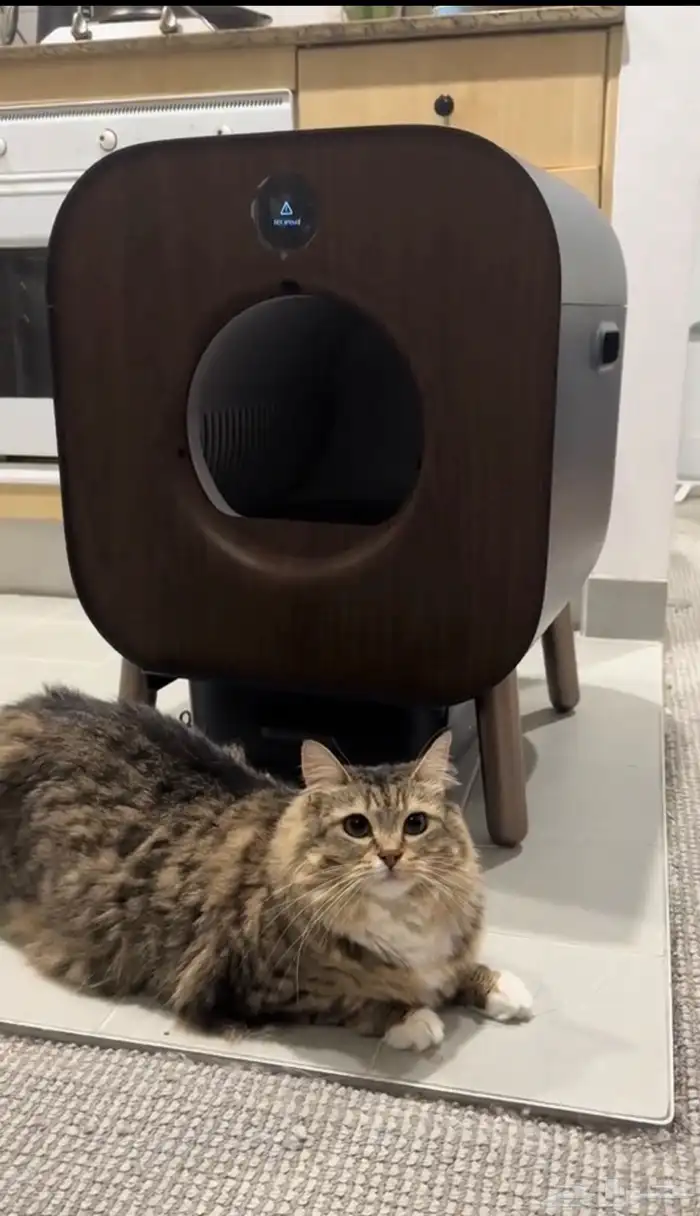 جهاز تنظيف رملة القطط 1