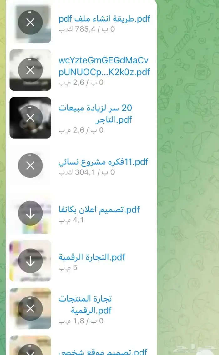 دورة تجاره الكترونيه مع منتجات 1