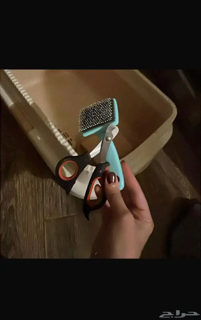 اغراض قطط كامله ب 100 1