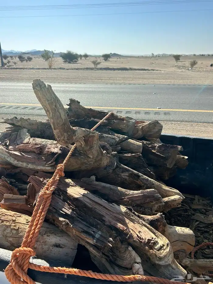 حطب مستورد 3