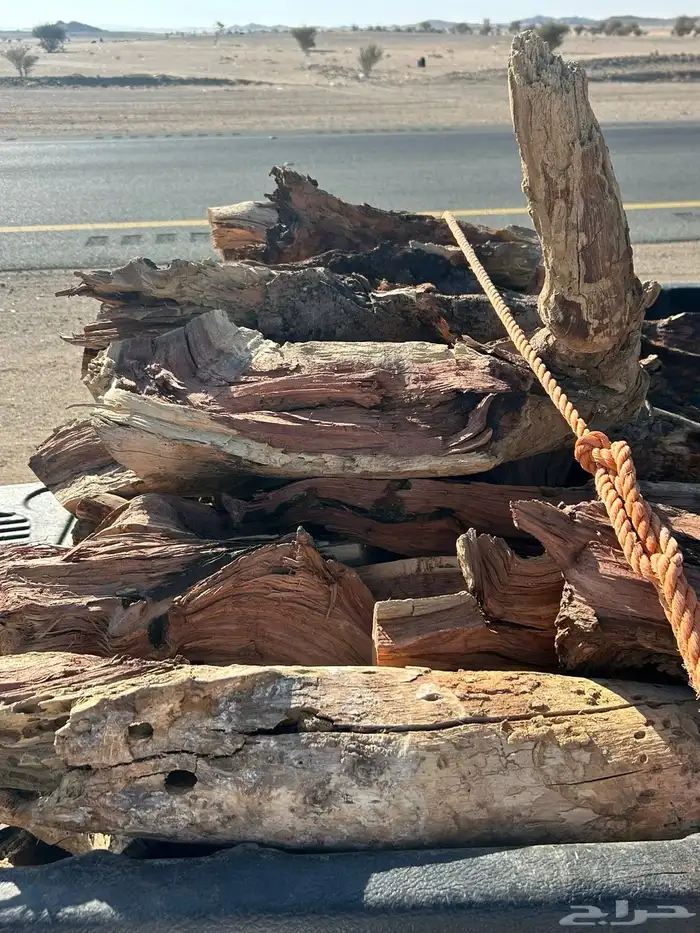 حطب مستورد 7