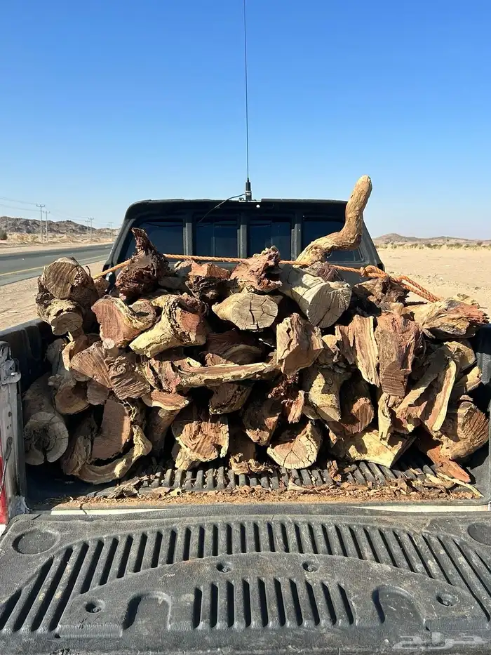 حطب مستورد 6