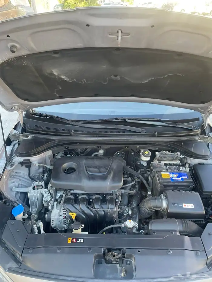 إلنترا 2019 نص فل 16