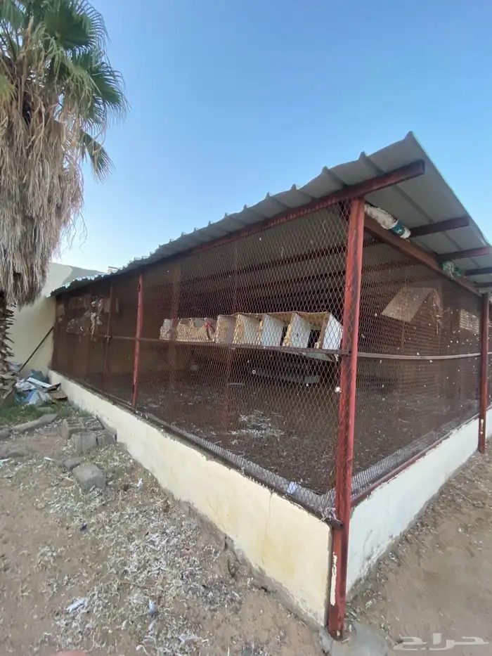 صندقت حمام 1