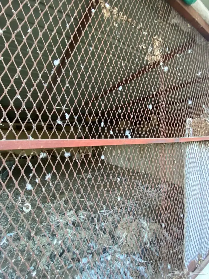 صندقت حمام 4