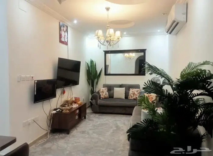 جده حي المروه خلف قاعه امسيتي للافراح 2