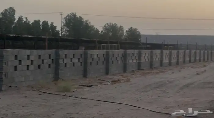 حظيرة غنم ( تم الايجار ) 1