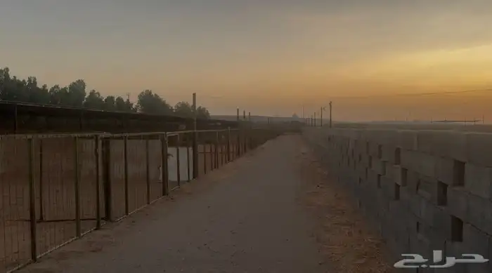 حظيرة غنم ( تم الايجار ) 3