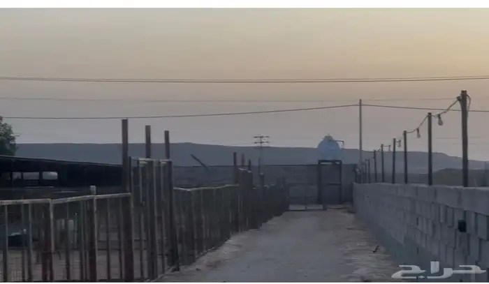 حظيرة غنم ( تم الايجار ) 2