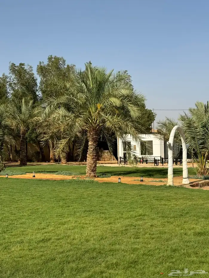 مزرعة لارا للاجار اليومي والسنوي 0