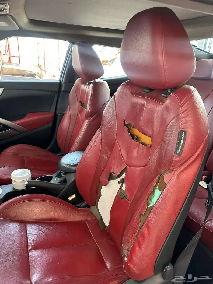 فيلوستر للبيع 2015 3