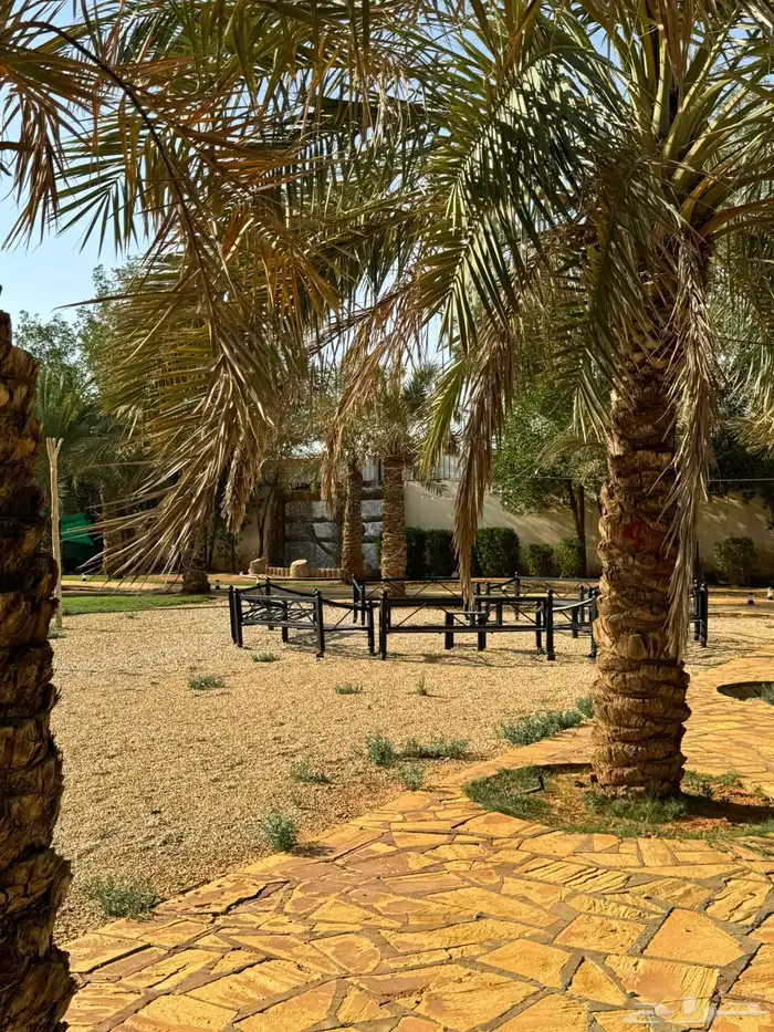 مزرعة لارا للاجار اليومي والسنوي 4