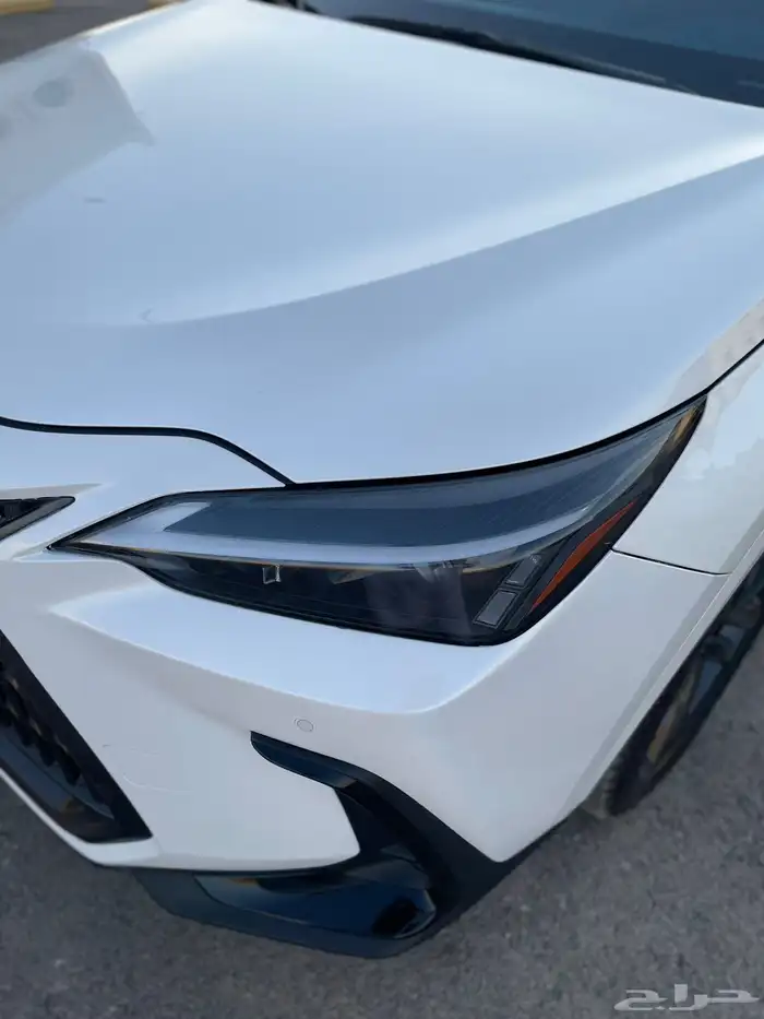 للبيع لكزس NX350h - 2024 مخزن 32