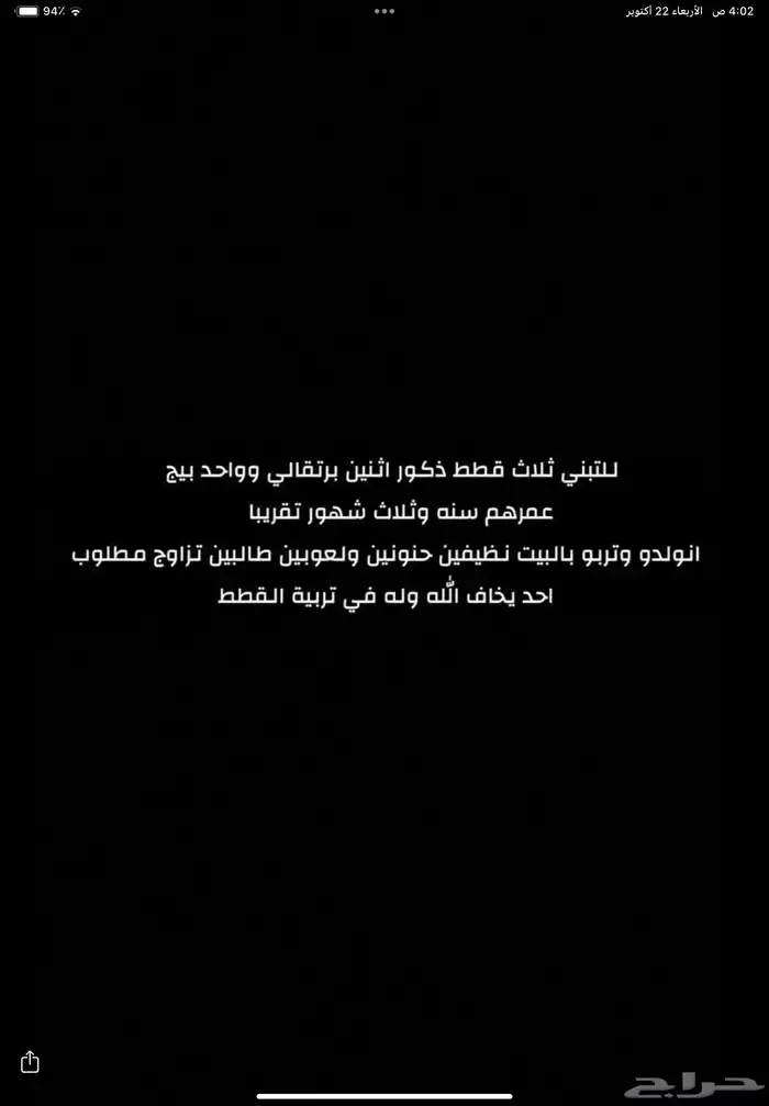 قطط لتتبني طالبين تزاوج 0