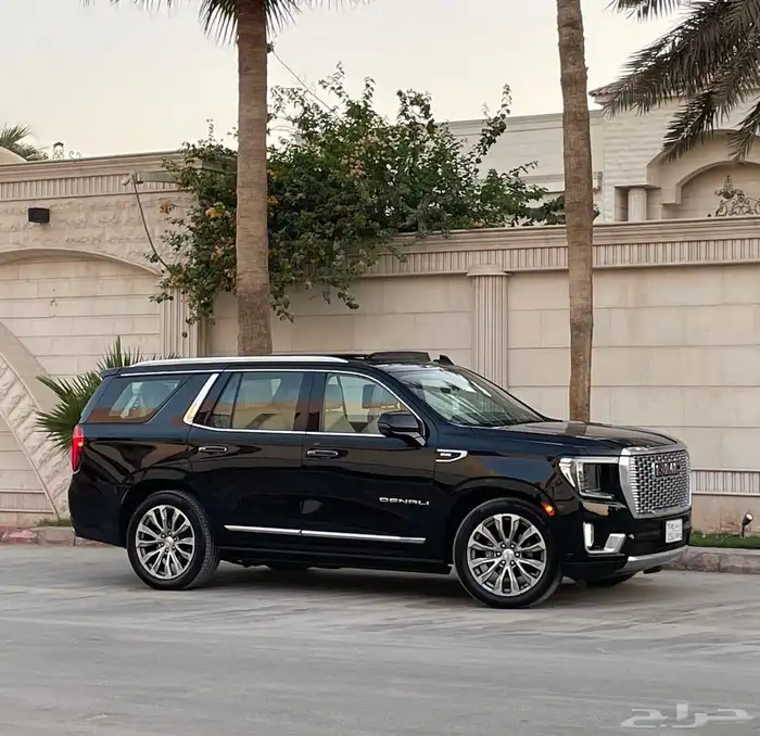 دينالي 2021 18