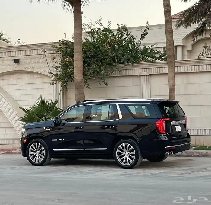 دينالي 2021 11