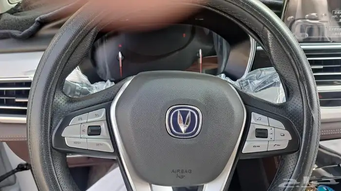 شانجان للبيع 1