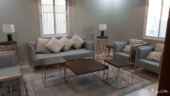 فيلا وشقه فاخرة للإيجار الشهري   سنه دراسيه   سنوي 11