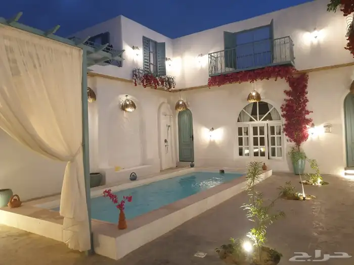 اشجار جهنمية وزيتون 18