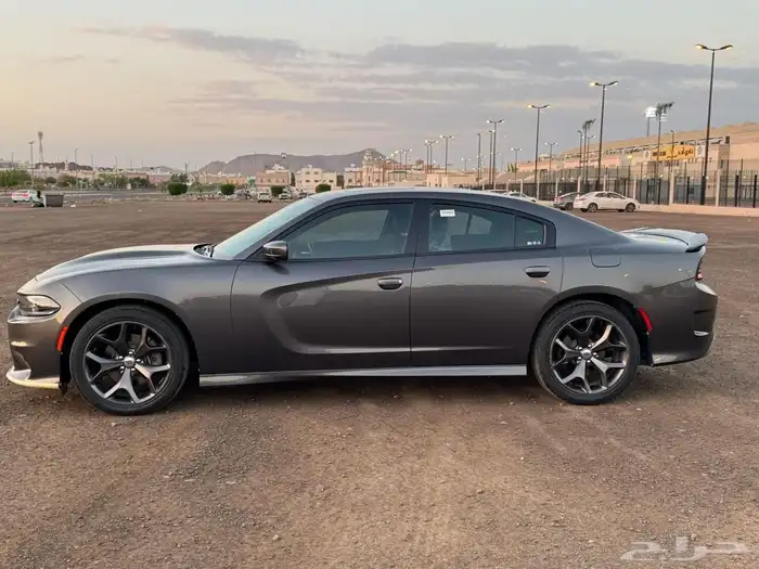 للبيع دوج تشاجر 1