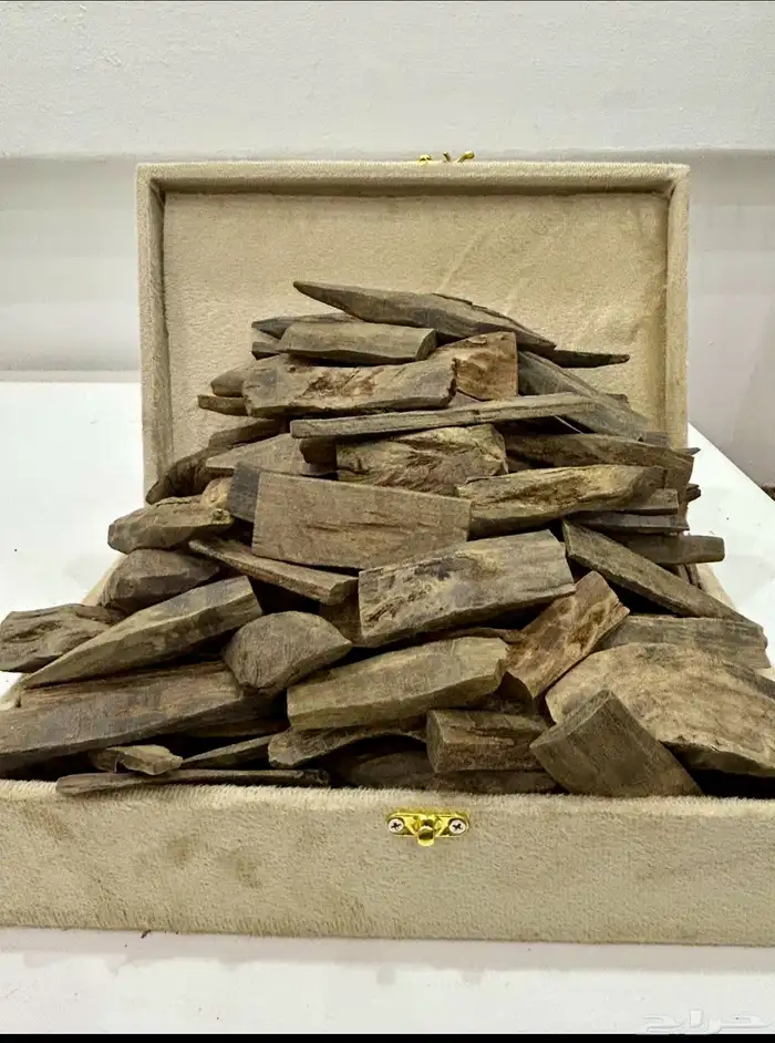 جميع انواع العود الطبيعي والمحسن 8