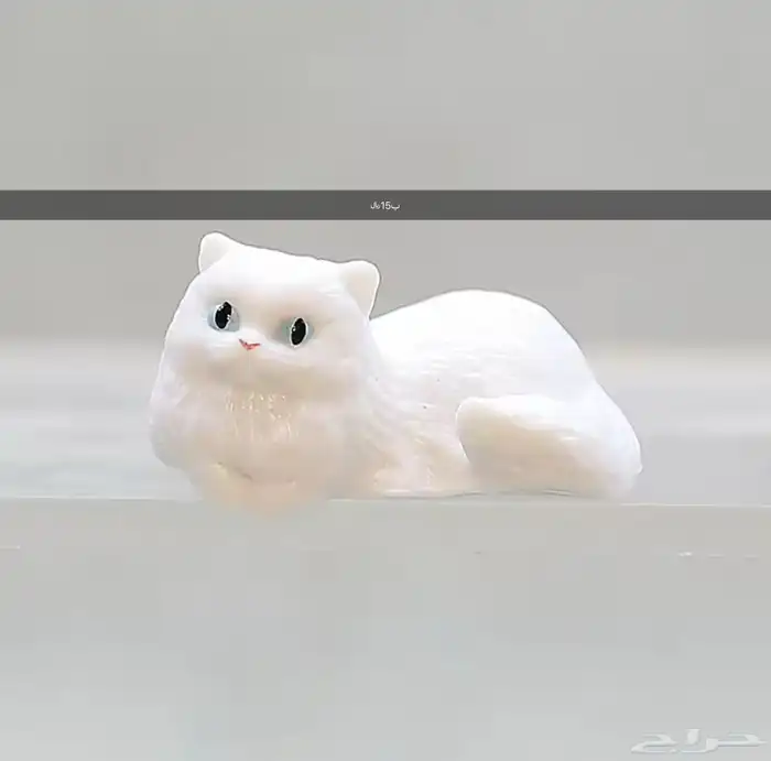 اهداء ومستلزمات شخصية 8