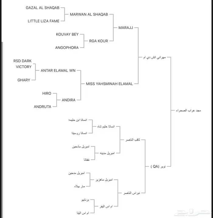 حفيد ميراج ولد مروان الشقب 1