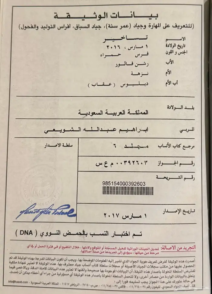 فرس اصيل بجواز 0