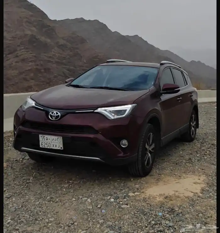 راف فور 2016 0