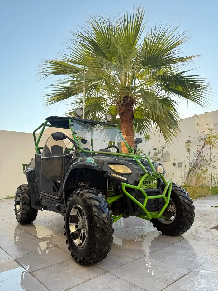 Buggy 250CC موديل 2017 0