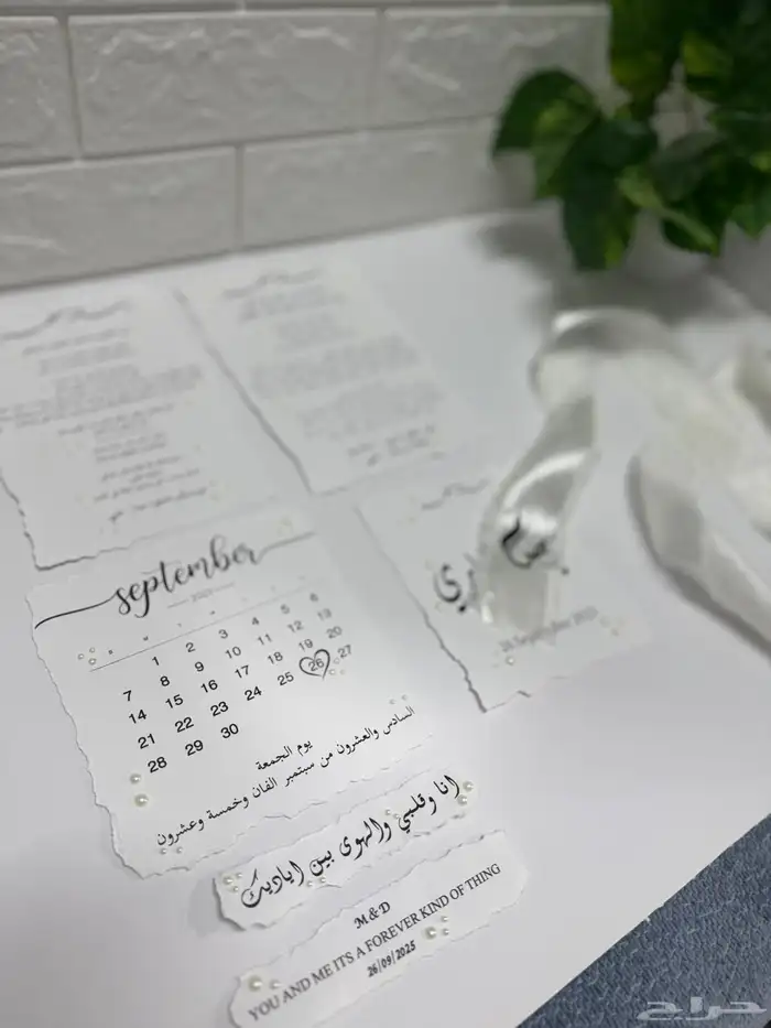 رسالة العمر 7